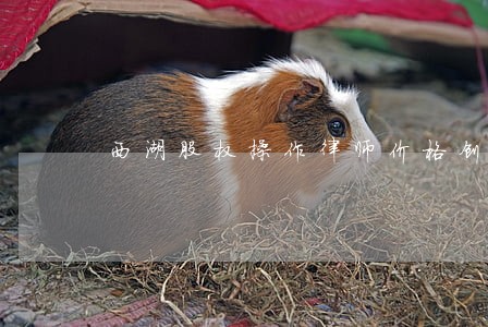 西湖股权操作律师价格创新致远