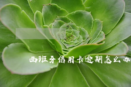西班牙信用卡逾期怎么办 西班牙信用卡逾期怎么办