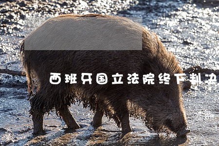 西班牙国立法院终下判决书 西班牙国立法院终下判决书