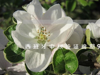 西班牙申根签证逾期9天了怎么办 西班牙申根签证逾期9天了怎么办