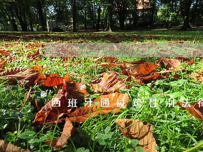 西班牙通过跨性别法律 西班牙通过跨性别法律