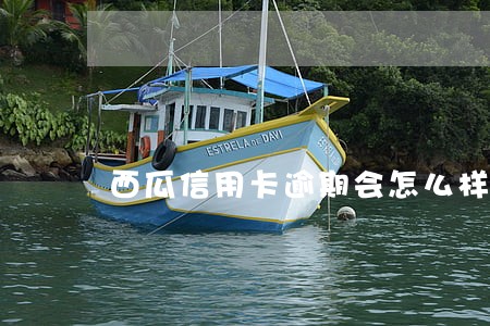 西瓜信用卡逾期会怎么样 西瓜信用卡逾期会怎么样