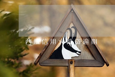 西瓜信用火箭贷逾期 西瓜信用火箭贷逾期