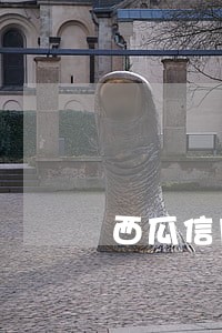 西瓜信用的东风贷逾期 西瓜信用的东风贷逾期