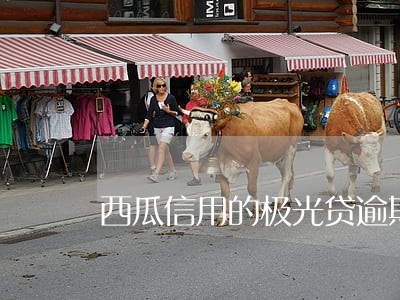 西瓜信用的极光贷逾期