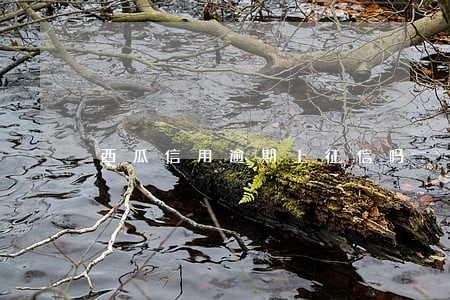西瓜信用逾期上征信吗 西瓜信用逾期上征信吗