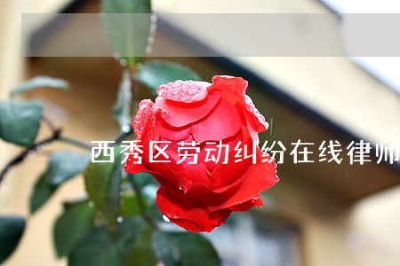 西秀区劳动纠纷在线律师 西秀区劳动纠纷在线律师