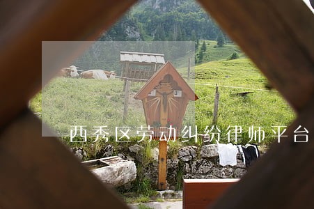 西秀区劳动纠纷律师平台 西秀区劳动纠纷律师平台