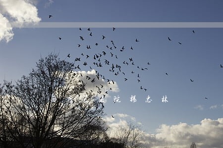 西秀区法院杨忠林 西秀区法院杨忠林