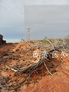 西秀区知名不当得利诉讼律师