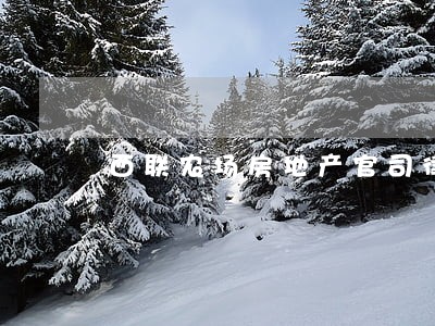 西联农场房地产官司律师 西联农场房地产官司律师