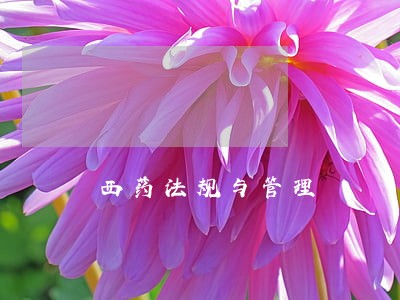 西药法规与管理 西药法规与管理