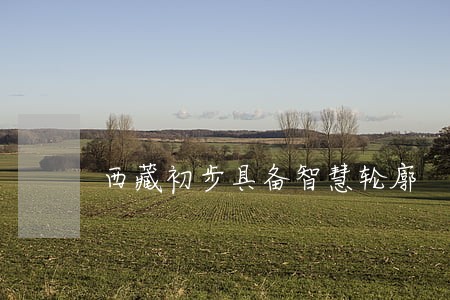 西藏初步具备智慧轮廓