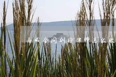 西藏合同纠纷律师怎么收费