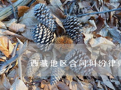 西藏地区合同纠纷律师 西藏地区合同纠纷律师