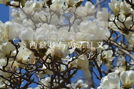 西藏我与宪法征文 西藏我与宪法征文