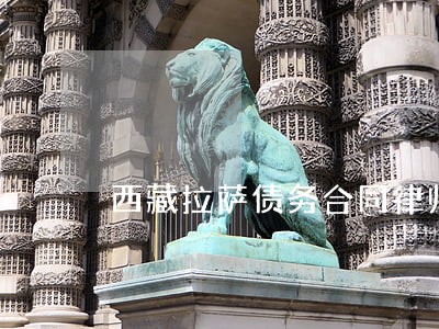 西藏拉萨债务合同律师排名 西藏拉萨债务合同律师排名