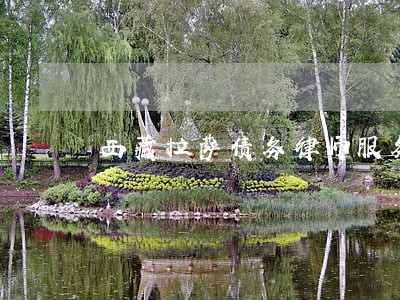西藏拉萨债务律师服务 西藏拉萨债务律师服务