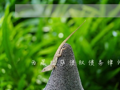 西藏拉萨债权债务律师服务 西藏拉萨债权债务律师服务