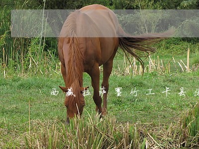 西藏拉萨墨竹工卡县债务合同律师 西藏拉萨墨竹工卡县债务合同律师
