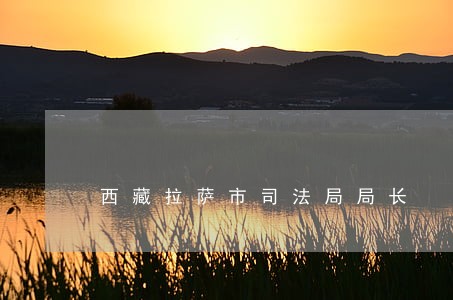 西藏拉萨市司法局局长 西藏拉萨市司法局局长