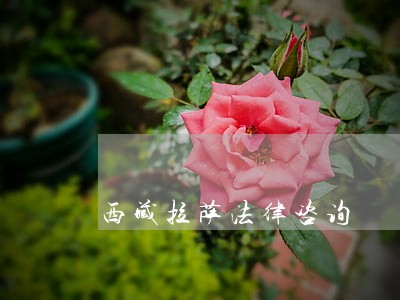 西藏拉萨法律咨询 西藏拉萨法律咨询