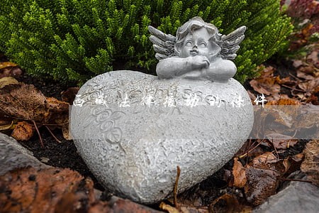 西藏法律援助的条件 西藏法律援助的条件