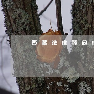 西藏法律顾问律师咨询电话 西藏法律顾问律师咨询电话