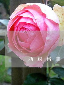 西藏省曲水县债务律师 西藏省曲水县债务律师