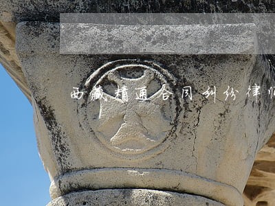 西藏精通合同纠纷律师费用 西藏精通合同纠纷律师费用