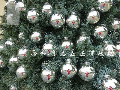 西藏自治区法律援助实施意见 西藏自治区法律援助实施意见