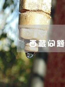 西藏问题是否违法国际法