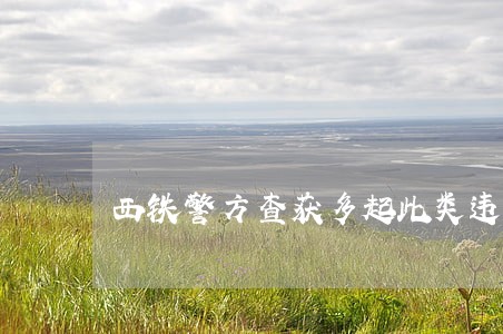 西铁警方查获多起此类违法行为 西铁警方查获多起此类违法行为