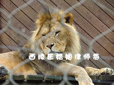西陵区婚姻律师费
