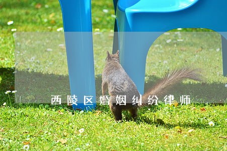 西陵区婚姻纠纷律师 西陵区婚姻纠纷律师