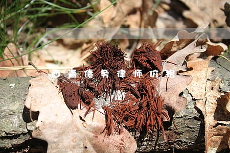西青债务律师价格 西青债务律师价格