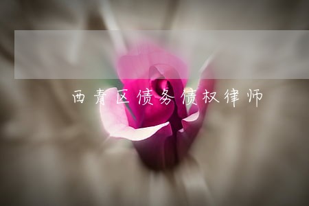 西青区债务债权律师