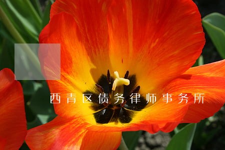 西青区债务律师事务所 西青区债务律师事务所