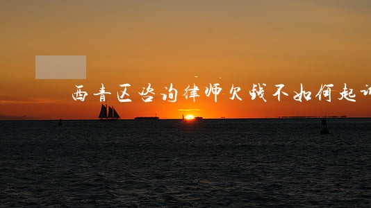 西青区咨询律师欠钱不如何起诉 西青区咨询律师欠钱不如何起诉