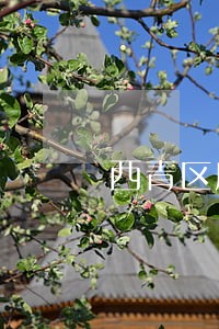 西青区房产律师事务所