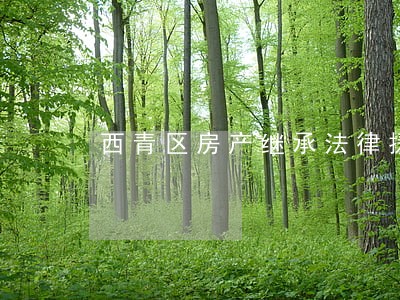 西青区房产继承法律援助 西青区房产继承法律援助