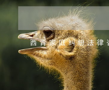 西青家庭纠纷法律咨询 西青家庭纠纷法律咨询