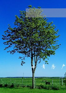 西青房产纠纷律师排名 西青房产纠纷律师排名