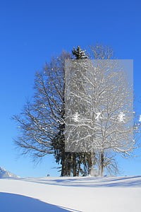 要不要听律师调解 要不要听律师调解