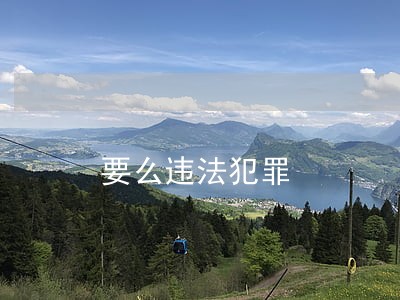要么违法犯罪 要么违法犯罪