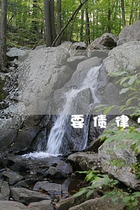 要债律师名人 要债律师名人