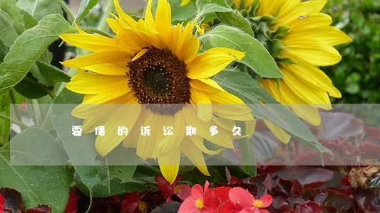 要债的诉讼期多久 要债的诉讼期多久
