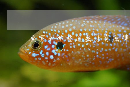 要写到哪些进去才有法律效力