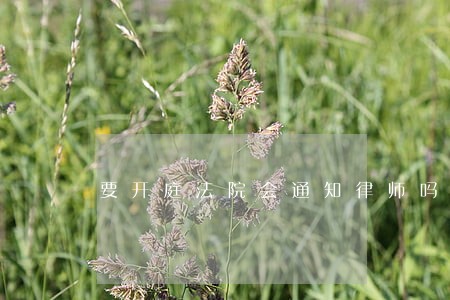 要开庭法院会通知律师吗 要开庭法院会通知律师吗