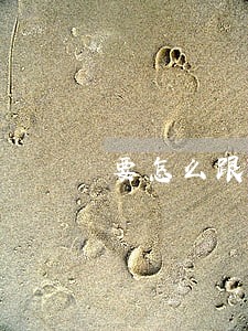 要怎么跟网贷客服协商只还本金呢 要怎么跟网贷客服协商只还本金呢